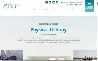 The Physical Therapy Effect website