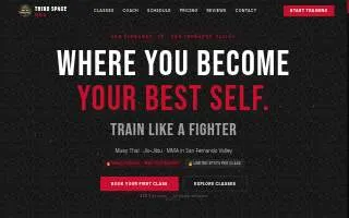 Third Space MMA website