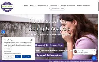 Bay Area Mold Pros website