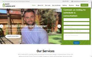 Buzz Landscape