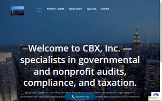 Cristian Borcan, CPA PC