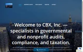 Cristian Borcan, CPA PC website
