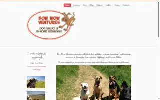 Bow Wow Ventures website