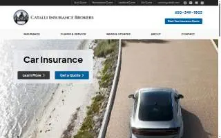 Catalli Insurance Brokers website