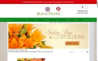 Burns Florist website