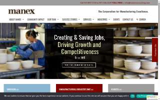 Manex Consulting