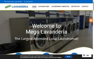 Mega Lavanderia website