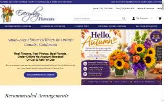 Everyday Flowers website