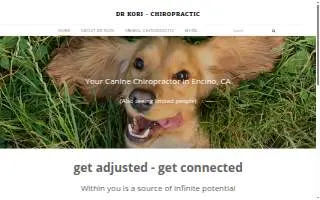 Dr. Kori – Chiropractic website