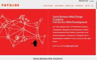 Fat Eyes Web Development website