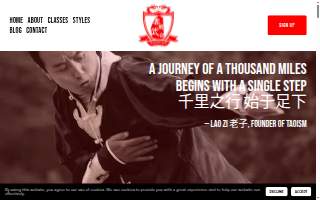 Master Yun Traditional Tai Chi and Kung Fu