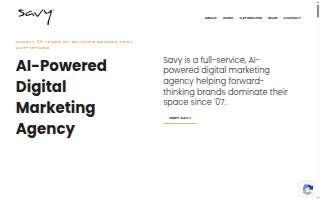 Savy Agency, Santa Barbara CA website
