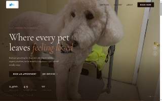 PETZ Perfection Grooming