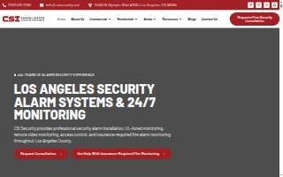 CSI Security website