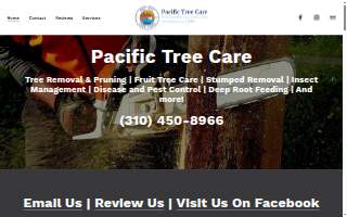 Pacific Tree Care