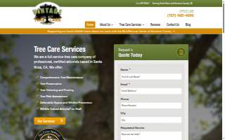 Vintage Tree Care