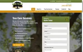 Vintage Tree Care website
