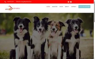 Long Beach Pet Care of Seal Beach website