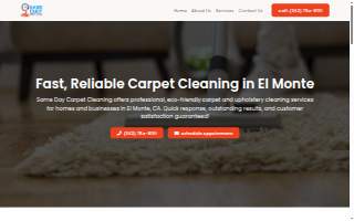 Same Day Carpet Cleaning