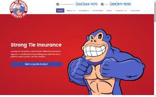 Strong Tie Insurance Services Inc.