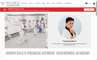 Pure Taekwondo