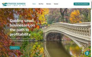 Strategic Business Advisory & Tax