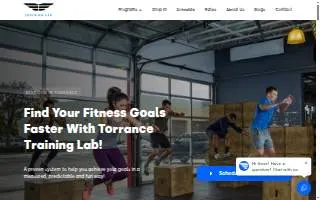 Torrance Training Lab website
