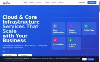 TechFuji LLC website