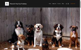 Pinnacle Pup Dog Training