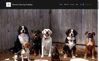 Pinnacle Pup Dog Training website