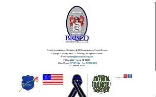 BRISCO Consulting website