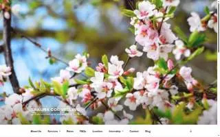 Sakura Counseling website