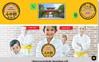 Karate Kids in America