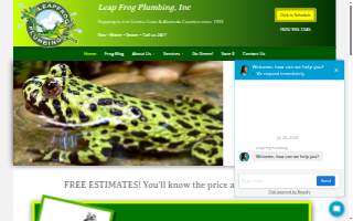LeapFrog Plumbing, Inc of Walnut