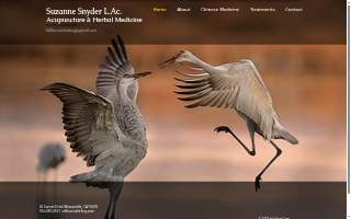 Suzanne Snyder Acupuncture