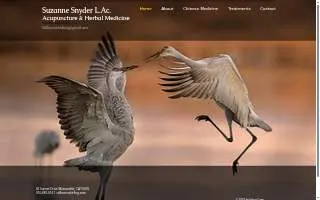 Suzanne Snyder Acupuncture website