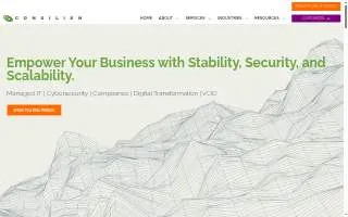 Consilien website