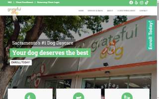 Grateful Dog Daycare