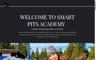 Smart Pits Academy LLC