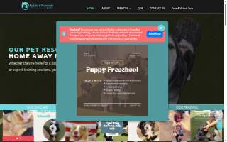 Splash Premier Pet Resort of Westminster
