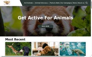 Animal feed store