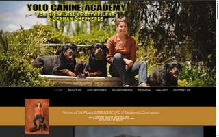 Yolo Canine Academy of Woodland