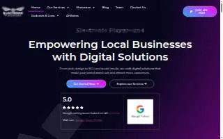 Electronic Playground Website Design and Marketing website