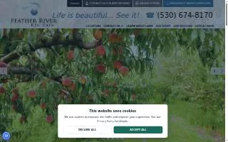 Feather River Eye Care website