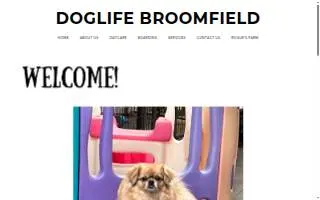 DogLife Broomfield website