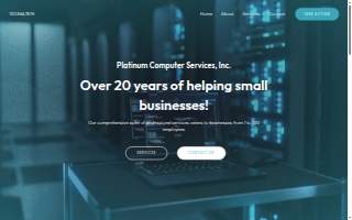 Platinum Computer Services, Inc.
