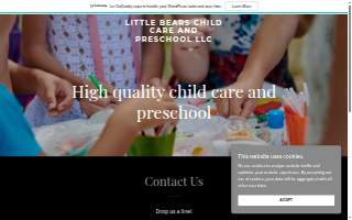 Little Bears Child Care and Preschool LLC