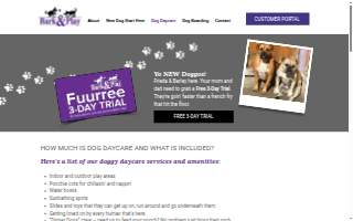 Bark and Play Denver Dog Daycare and Boarding