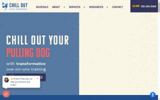 Chill Out Dog Training South Denver