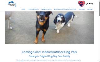 Healthy Hounds and Fat Cats